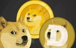 DOGE币app手机最新版下载-DOGE币app安卓版下载v6.0