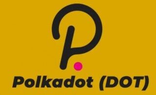 dot币交易所最新 dot币最新版手机端