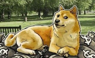 比特币手机客户端手机上下载最新版 比特币Dogecoin移动端最新版本官方网