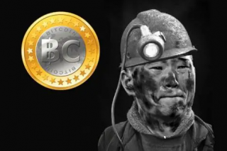 为什么BRC20的铭文会一直涨?