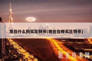 现在什么购买比特币(现在在哪买比特币)