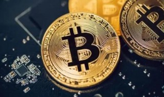 pi币成功的概率多大 pi币成功了没有(没有成功不会成功的)