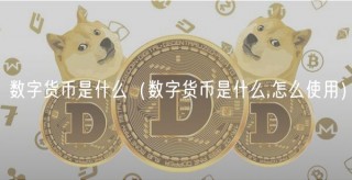 数字货币是什么(数字货币是什么,怎么使用)
