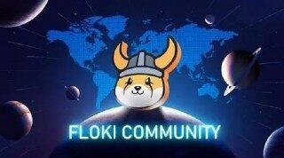 floki币会不会涨到1块?马斯克新宠floki币价格会超过狗狗币吗?