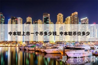 中本聪上市一个币多少钱_中本聪币价多少