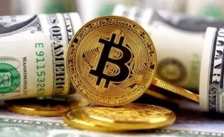 onecoin维卡币微博(onecoin维卡币最新消息)