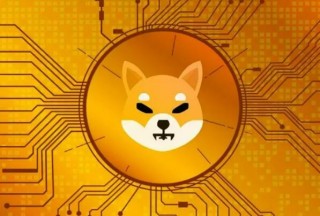 派币未来分析(派币的趋势)