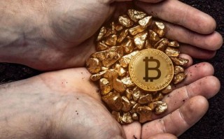 中本聪币最新消息:众筹情况(中本聪币最新消息）