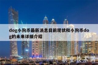 dog小狗币最新消息目前现状和小狗币dog的未来详细介绍