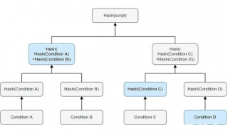 SegWit和Taproot是什么?二者之间的差异与各自优势
