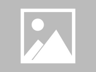 柴犬chms - 网红柴犬chms