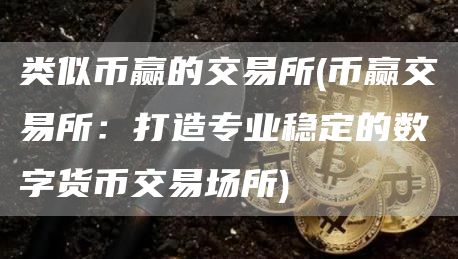 类似币赢的交易所 - 币赢交易所:打造专业稳定的数字货币交易场所