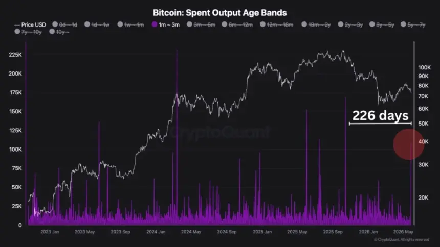 Chart showing Bitcoin Spent Output Age Band movement